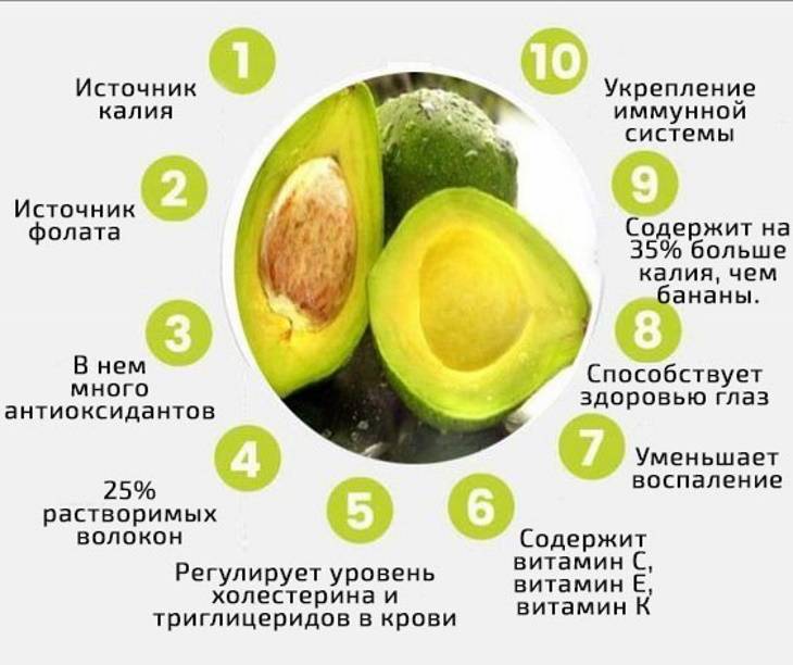 Авокадо – польза и вред для организма, калорийность