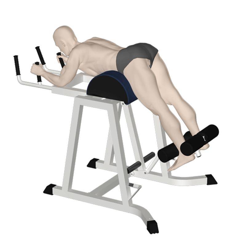 Упражнение гиперэкстензия: техника выполнения, какие мышцы работают