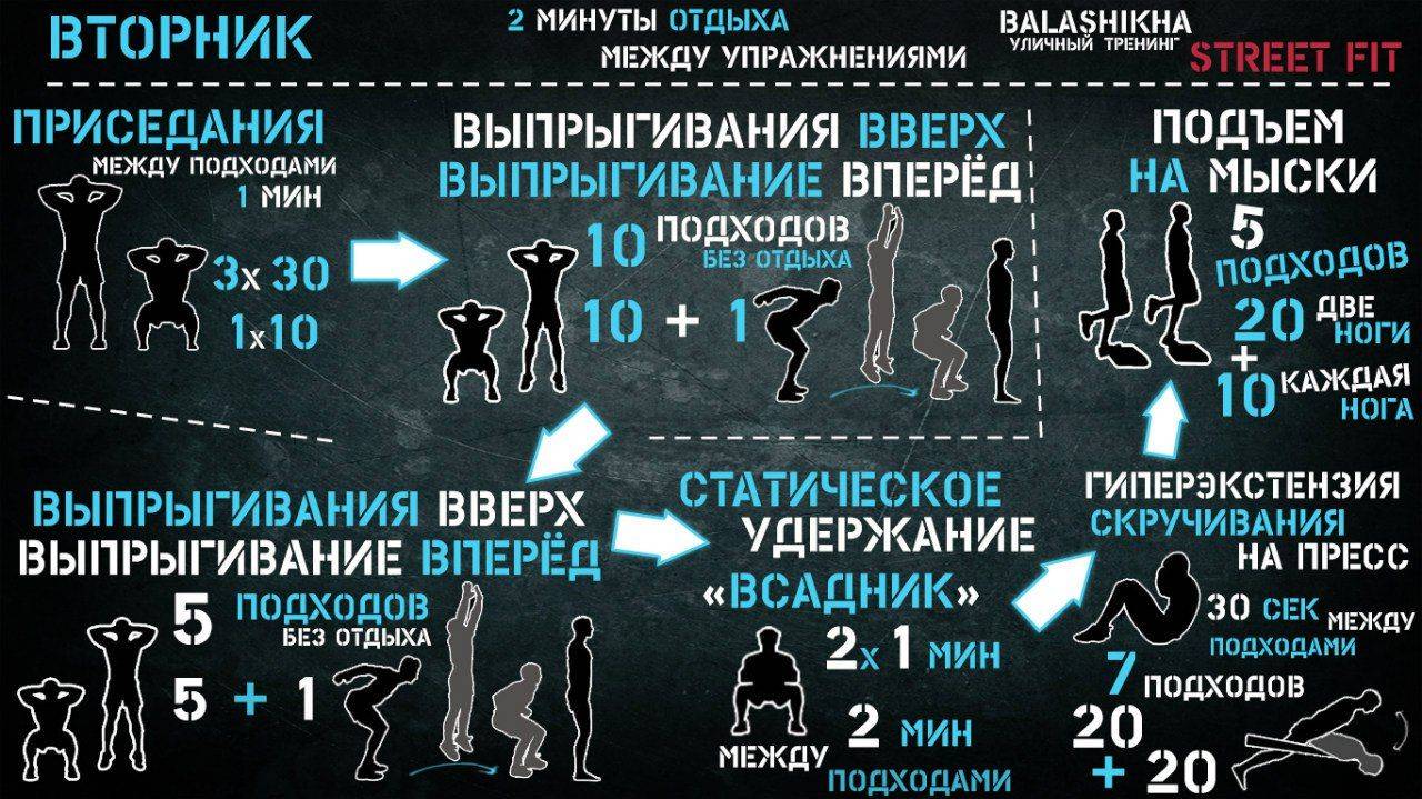 Воркаут (workout) тренировки: программы и советы для начинающих | irksportmol.ru