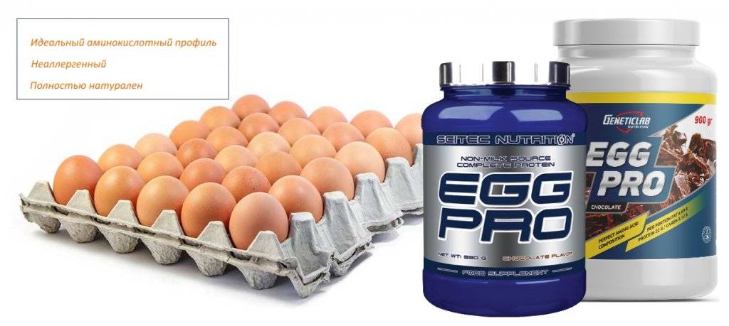 Яичный протеин: плюсы и минусы, топ 5 яичных альбуминов для массы и похудения