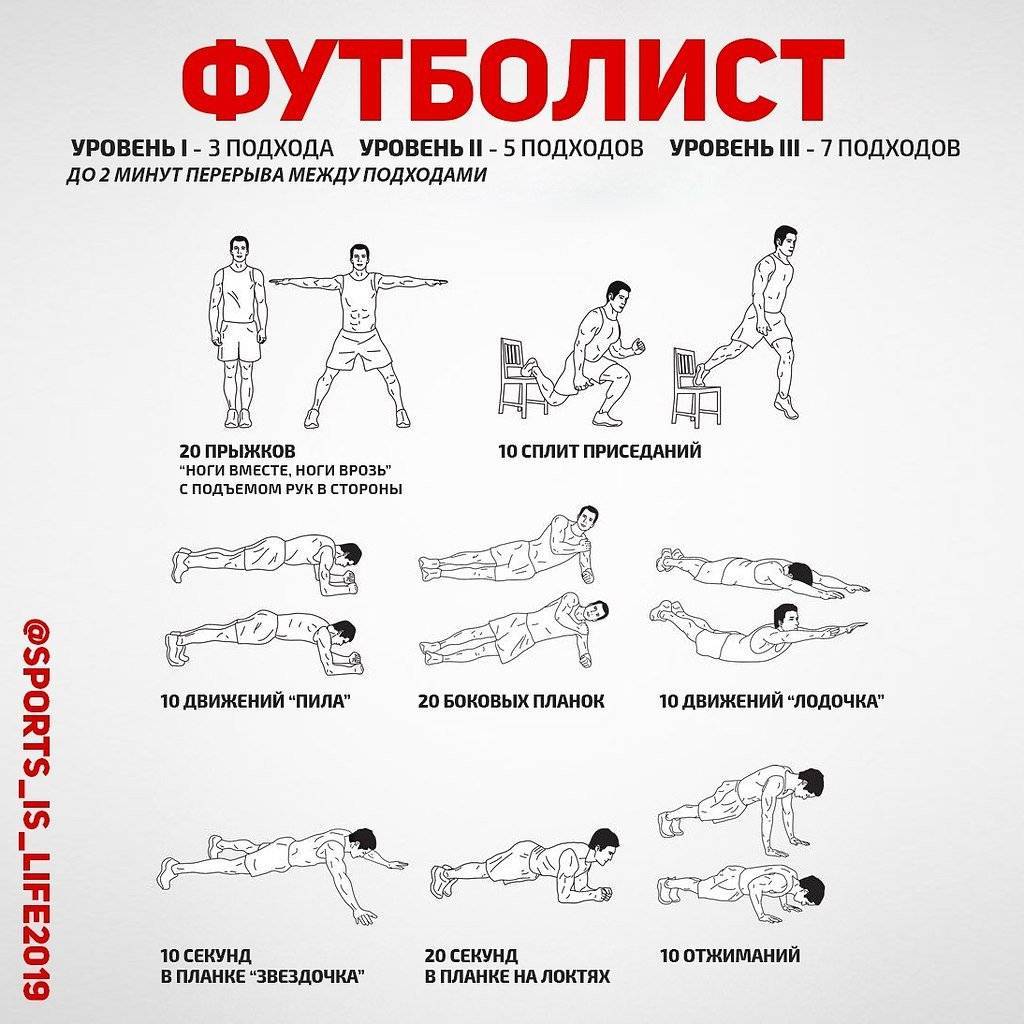 Упражнения по группам мышц