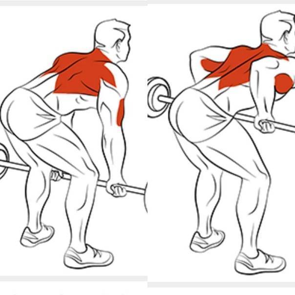Упражнения на спину с гантелями и штангой: как накачать спину в домашних условиях. упражнения для мышц спины для мужчин