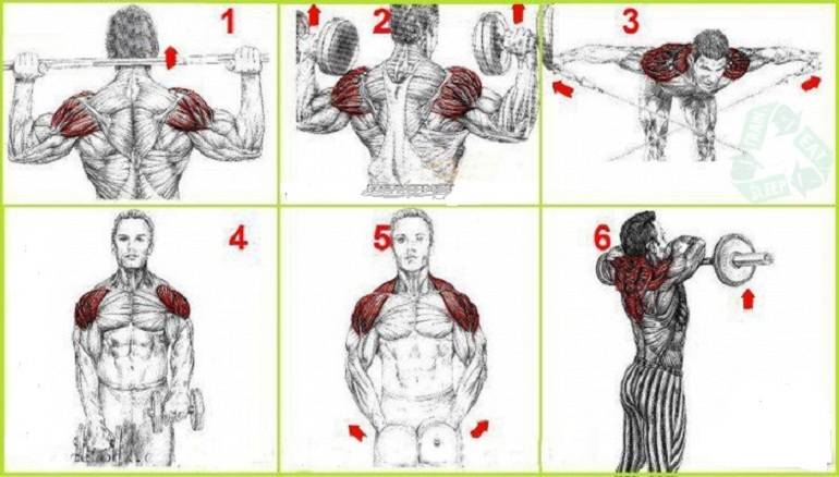 Домашние упражнения на плечи для мужчин. Упражнения для прокачки мышц плеч. Базовые упражнения для мышц плеч. Упражнения на дельтовимышцы в тренажерном зале для мужчин. Упражнения для прокачки плечевых мышц.