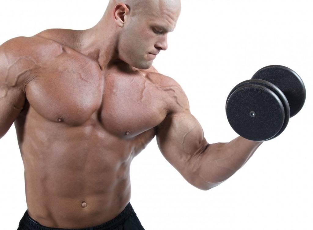 Бодибилдинг, кроссфит или тяжелая атлетика: что вреднее для здоровья - тестостерон