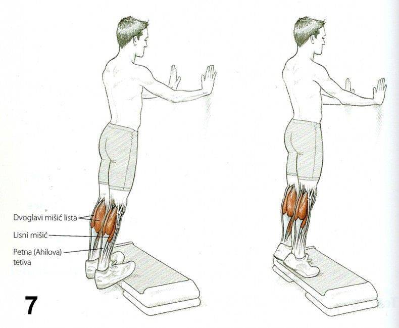 Описание упражнения: подъёмы на носки стоя": правильная техника выполнения, ошибки, разновидности