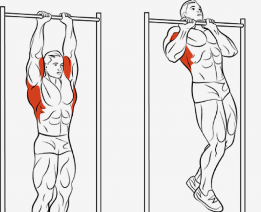 Подтягивания узким хватом: какие мышцы работают в этом упражнении?