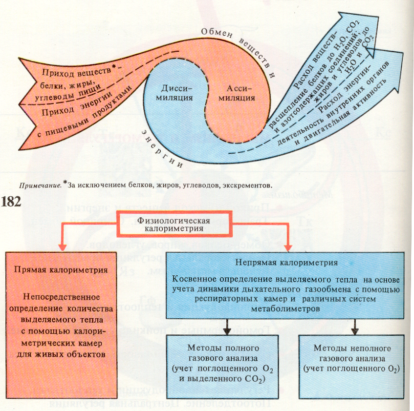 Глава 8. введение в метаболизм. биологическая химия