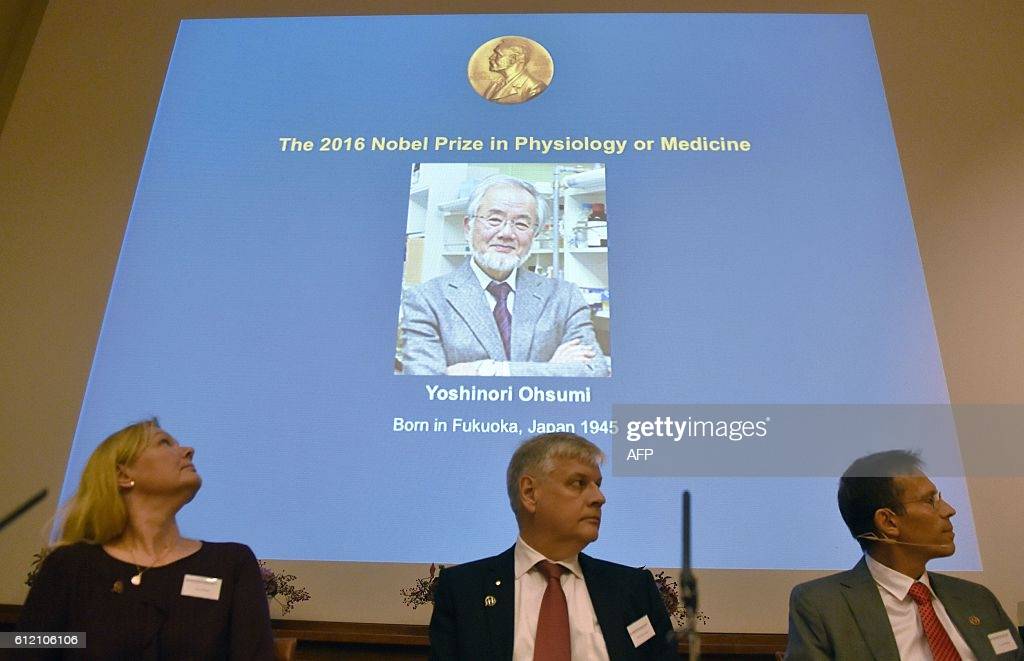 Аутофагия -за что дали нобелевскую премию по медицине в 2021 г