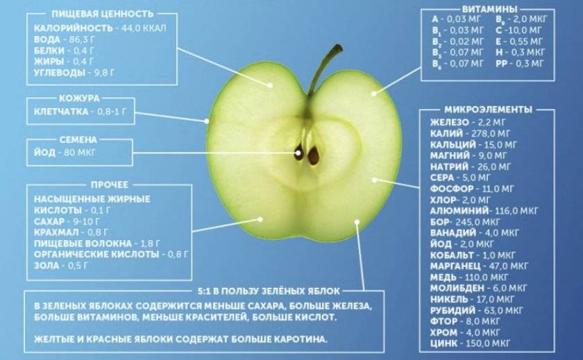 Калорийность яблока, сколько калорий в 1 зеленом, красном яблоке