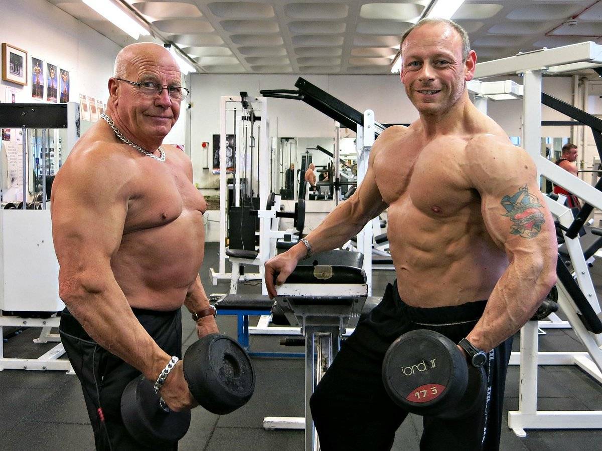 Влияние возраста и тренировки на скелетные мышцы
влияние возраста и тренировки на скелетные мышцы