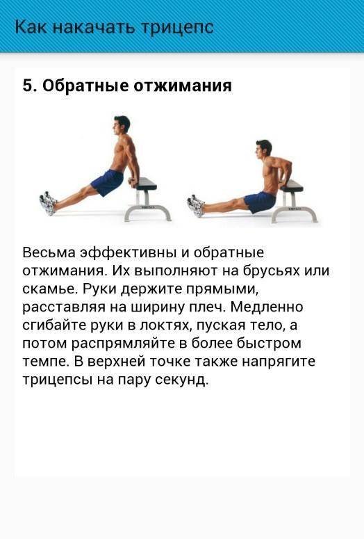 Обратные отжимания для трицепса: какие мышцы работают и техника выполнения | irksportmol.ru