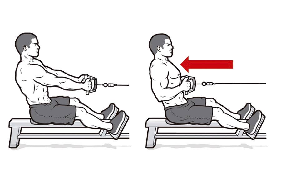 Рекомендации по освоению тяги горизонтального блока к животу и груди
