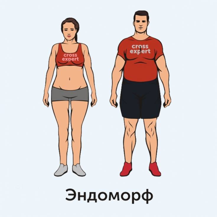 Типы фигур у женщин, мужчин, мезоморф, эктоморф, эндоморф, фото