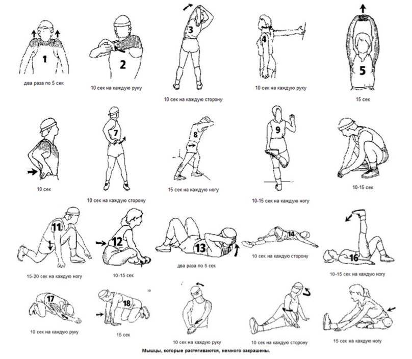 Разминка перед тренировкой: эффективный комплекс упражнений 
разминка перед тренировкой: эффективный комплекс упражнений
