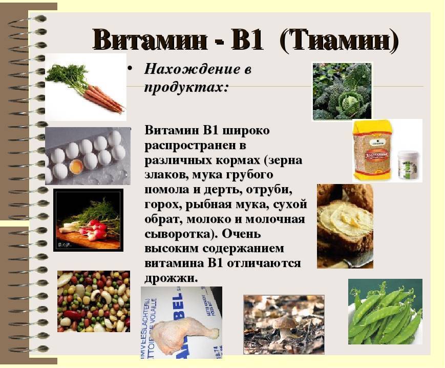 Витамин b1 (тиамин): для чего нужен, в каких продуктах содержится