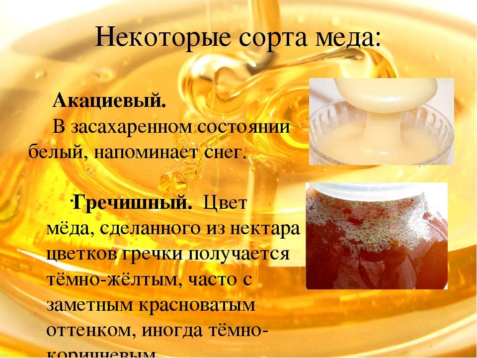 Калорийность меда, его польза и вред, полезные свойства