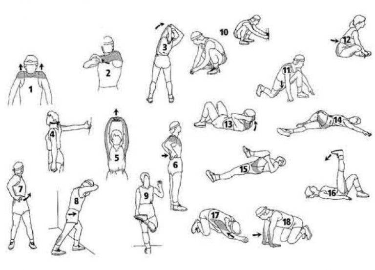Стретчинг упражнения