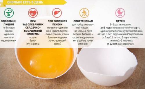 Польза яиц — 7 доказанных свойств для организма, а также вред и применение