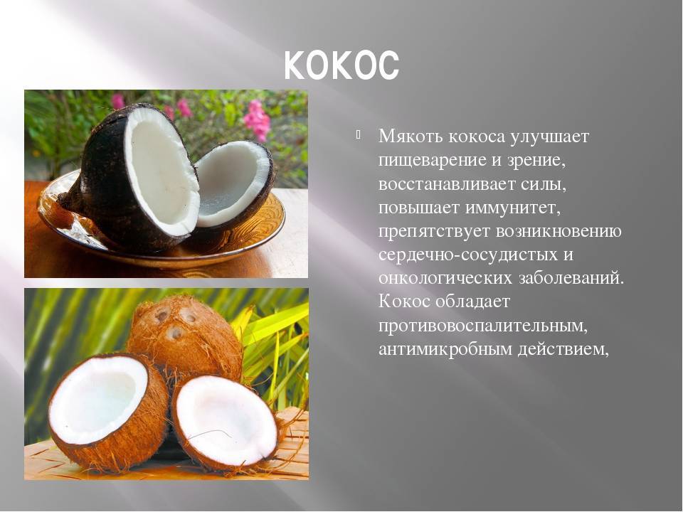 Бжу кокоса – кокосовый орех — калорийность, полезные свойства, польза и вред, описание — интернет магазин спортивной одежды multi-cross