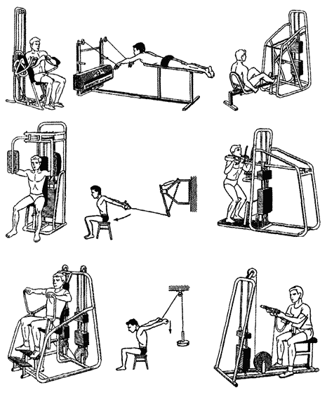 Название тренажеров в тренажерном зале с картинками и их предназначение