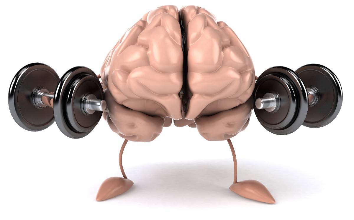 Тренировки для мозга: какие они бывают, и зачем они нужны. советы специалиста