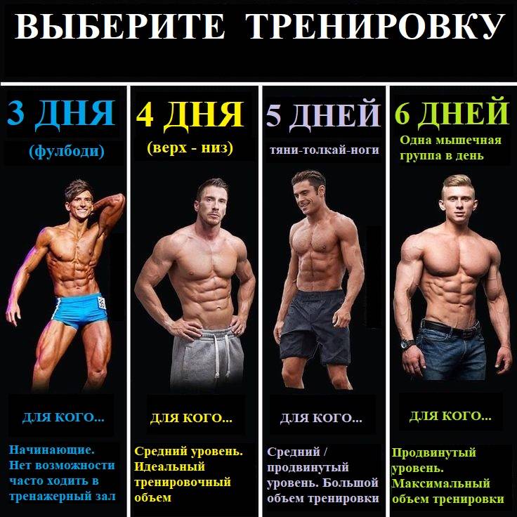 Упражнения на группы мышц: самые эффективные, техника выполнения - tony.ru