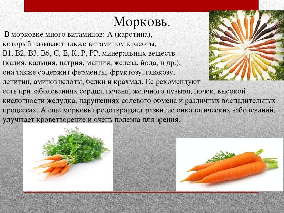 Калорийность сырой моркови. морковь отварная: калорийность