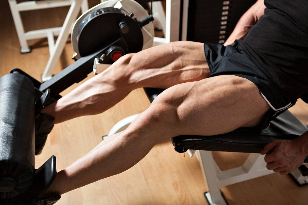 Квадрицепс: строение, особенности и комплекс самых эффективных упражнений для прокачки мышц бедра