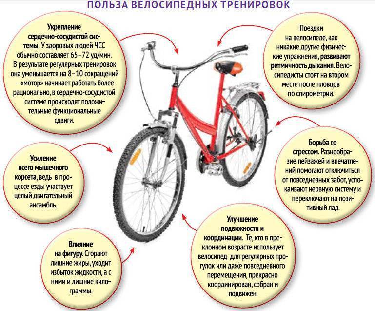 Какие мышцы работают при езде на велосипеде