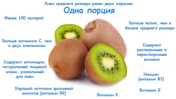 Киви - польза и вред фрукта. состав, калорийность, содержание полезных веществ. как правильно едят киви, рецепты