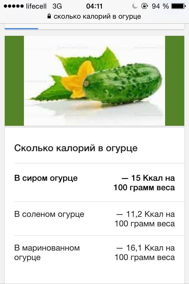 Сколько калорий в огурце (свежем, соленом)? | mnogoli.ru