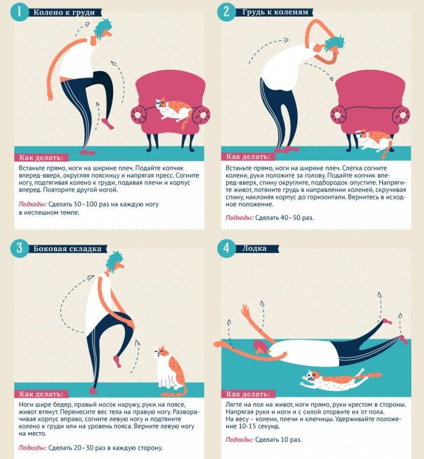 Как убрать бока и живот: 20 упражнений + план (картинки)