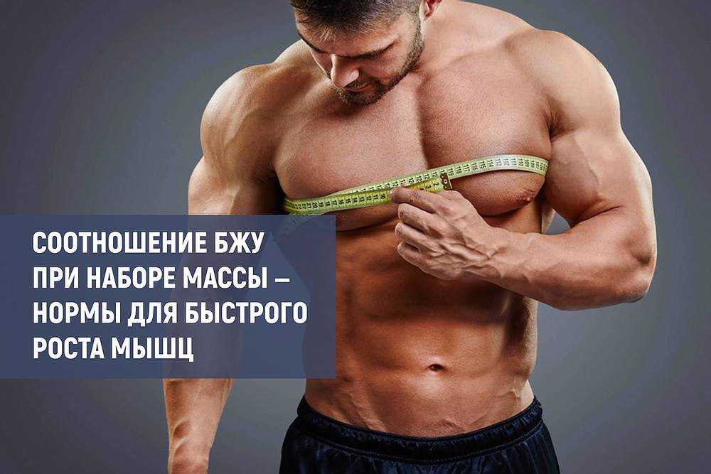 Как быстро и правильно нарастить мышечную массу | официальный сайт – “славянская клиника похудения и правильного питания”