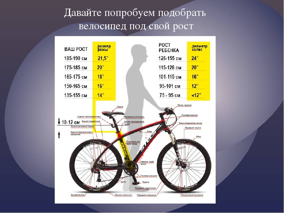 Какого размера должна быть рама велосипеда. да, у велосипедов есть размеры!