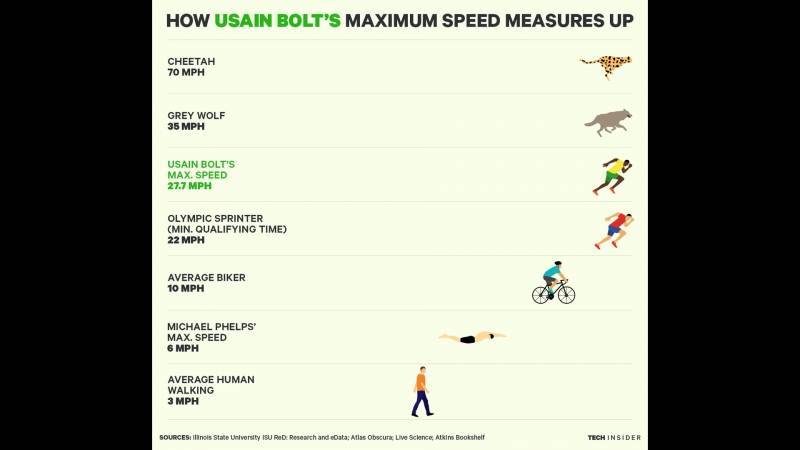 Основная информация о средней скорости человека при ходьбе