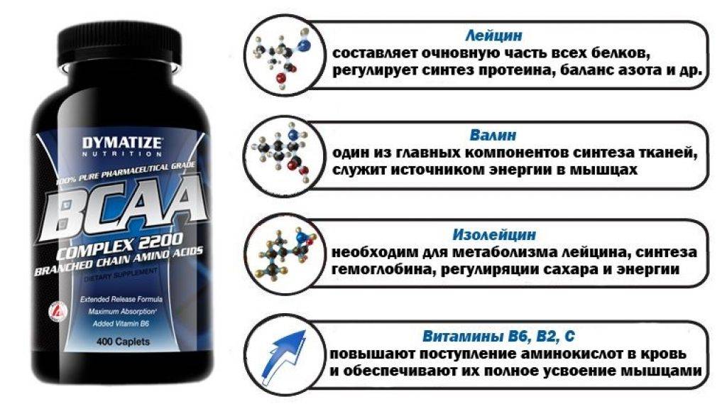 11 полезные свойства аминокислот для организма человека