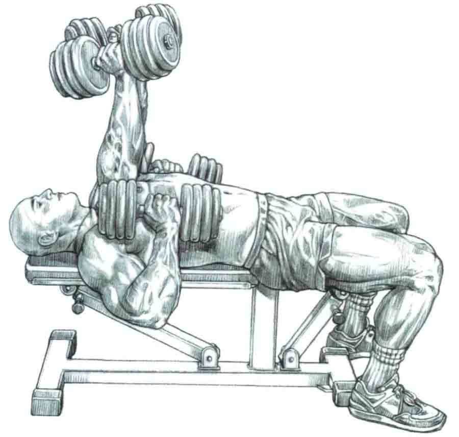 Французский жим: техника выполнения лежа, сидя и стоя, со штангой и гантелями