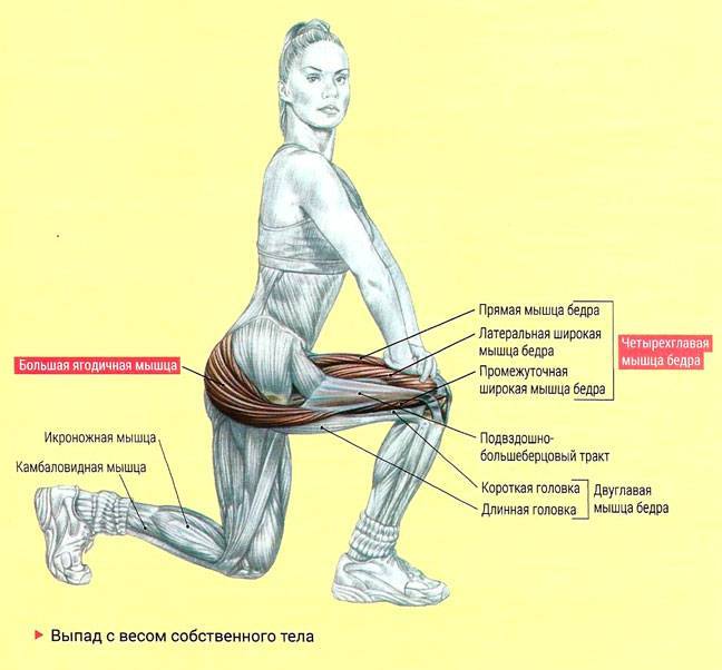 Тренировки при дисфункции мышц тазового дна | kinesiopro