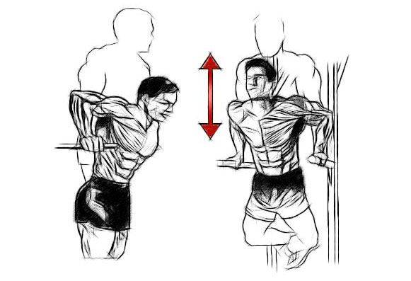Как правильно отжиматься от пола, чтобы накачать грудные мышцы мужчинам