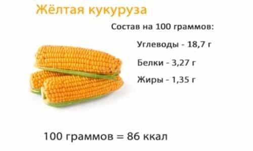 Польза, вред, калорийность кукурузы на 100 грамм, в 1 шт.