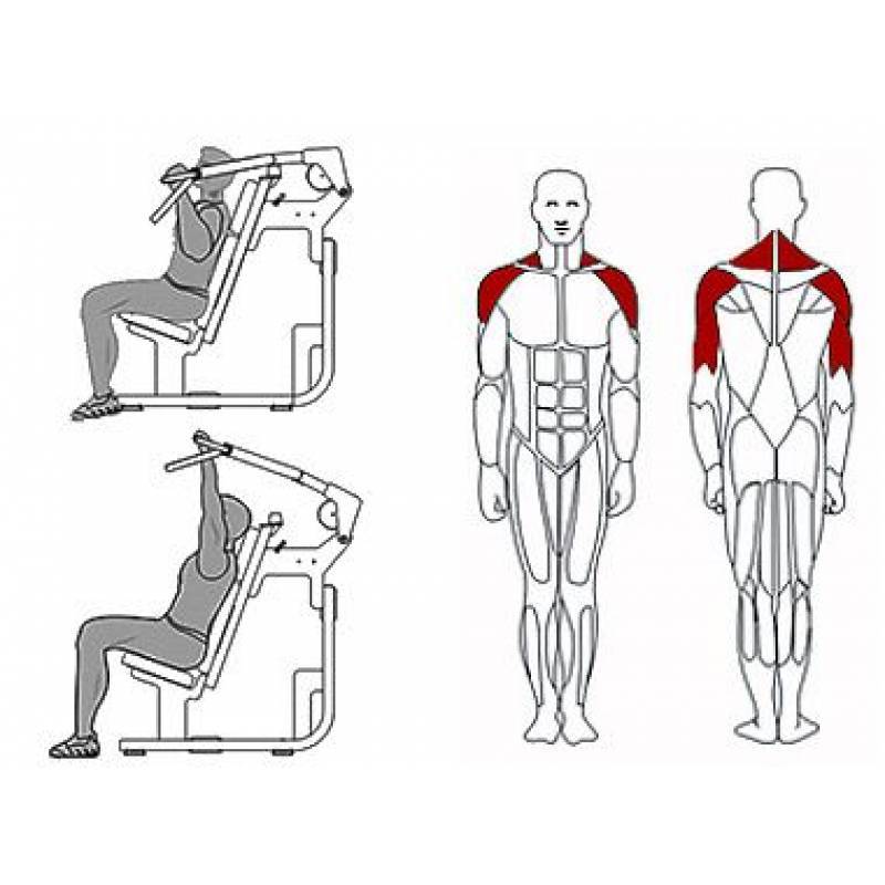 Упражнения на степпере: какие мышцы тренирует и как правильно заниматься на тренажере