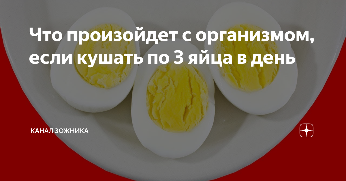 Холестерин в куриных и перепелиных яйцах: вред и польза