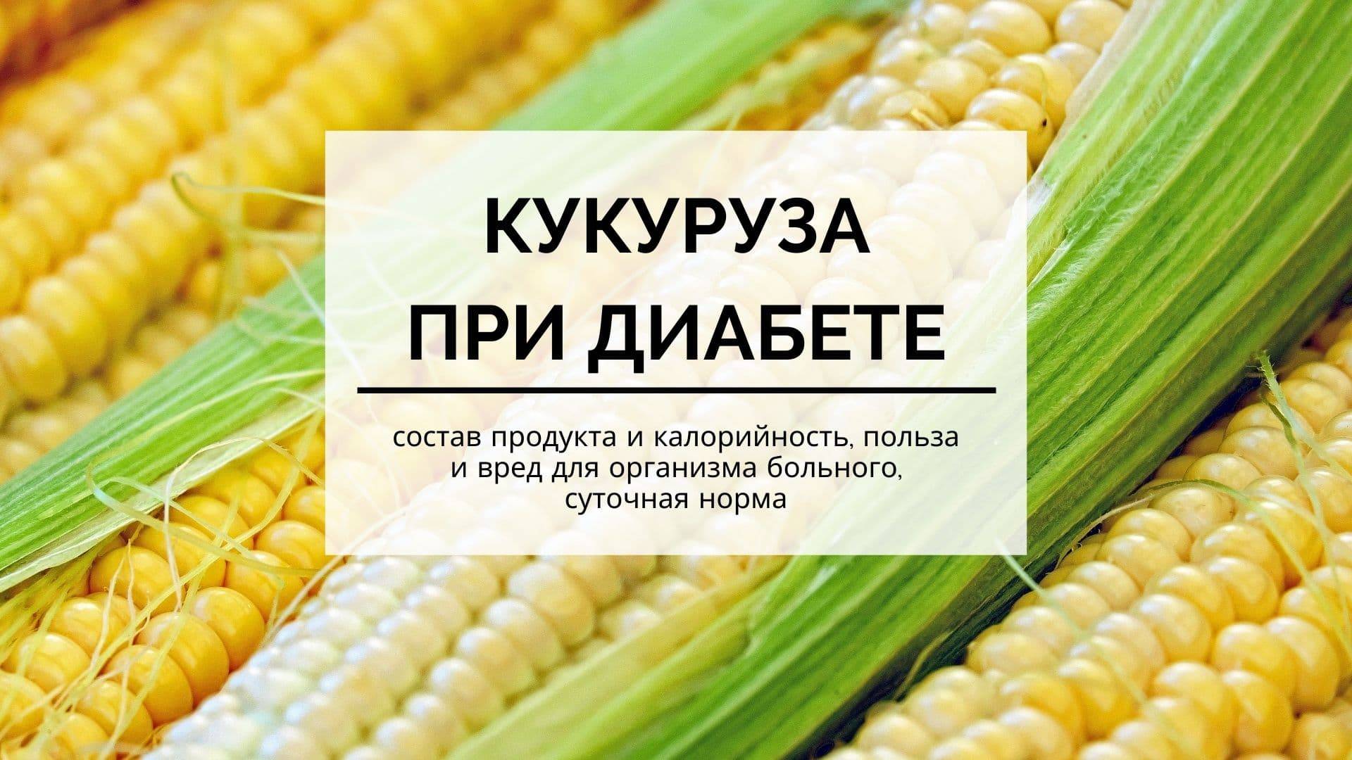 Калорийность кукурузы и особенности её состава: витамины, минералы и полезные свойства царицы полей