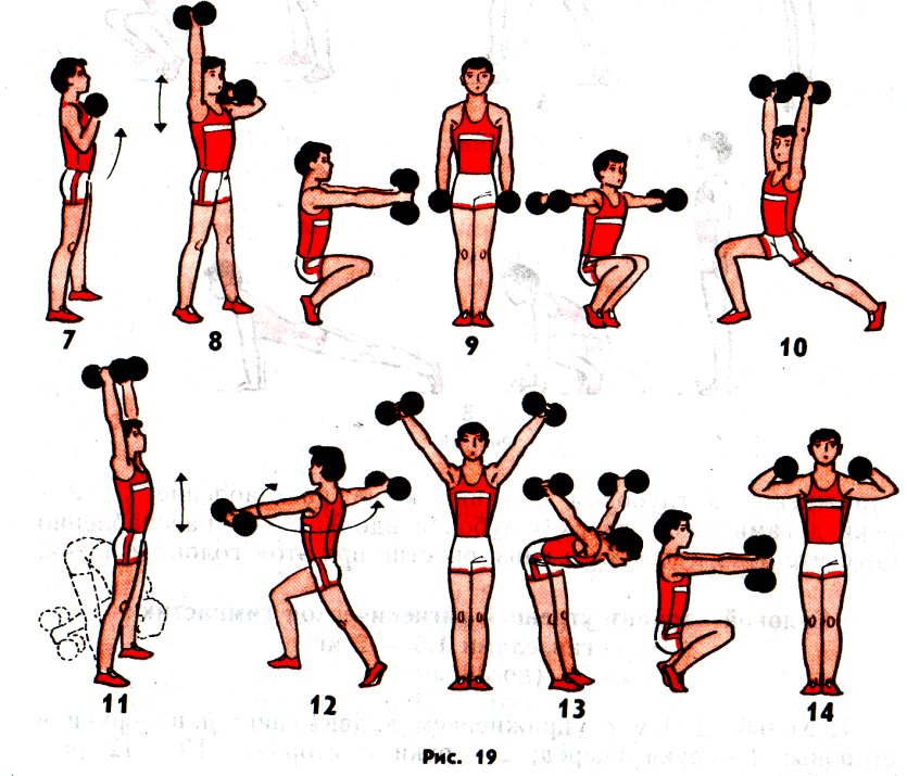 Физическая 20. Комплекс упражнений с гантелями (10-12 упражнений). Гантельная гимнастика для мужчин комплексы упражнений. Комплекс упражнений с гантелями для мальчика 12 лет. Комплекс силовых упражнений с гантелями для мужчин.