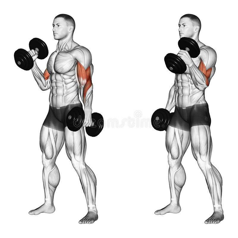Как накачать мышцы отжиманиями - грудь, бицепс, плечи, руки, крылья