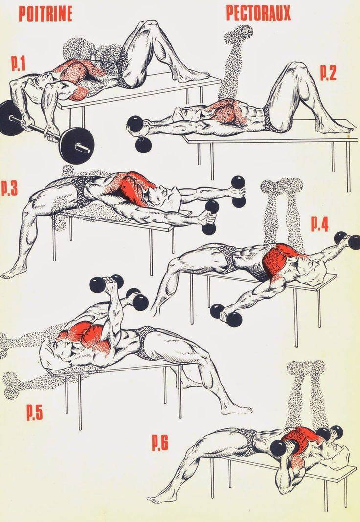 Как накачать грудные мышцы дома