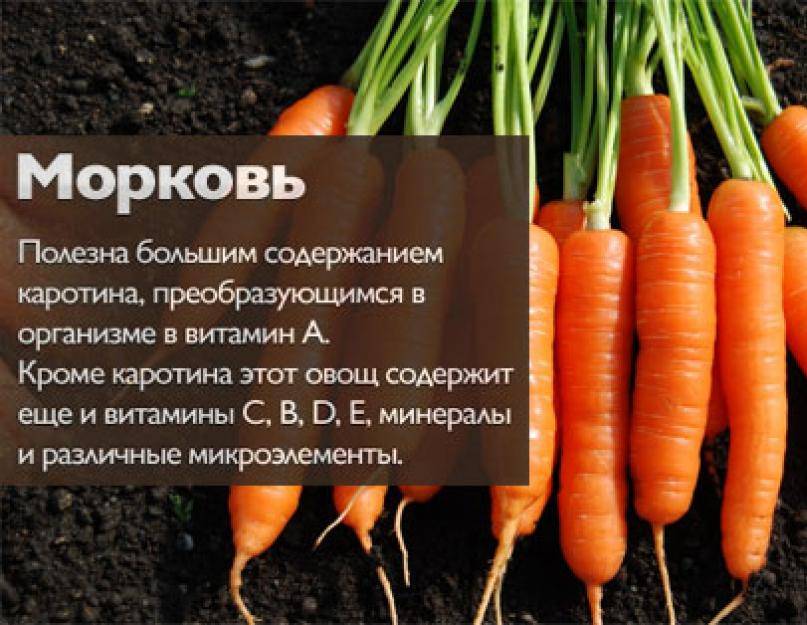 Морковь калорийность на 100 грамм сырой и польза и вред
