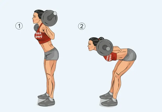 Упражнения на спину со штангой: программа тренировок