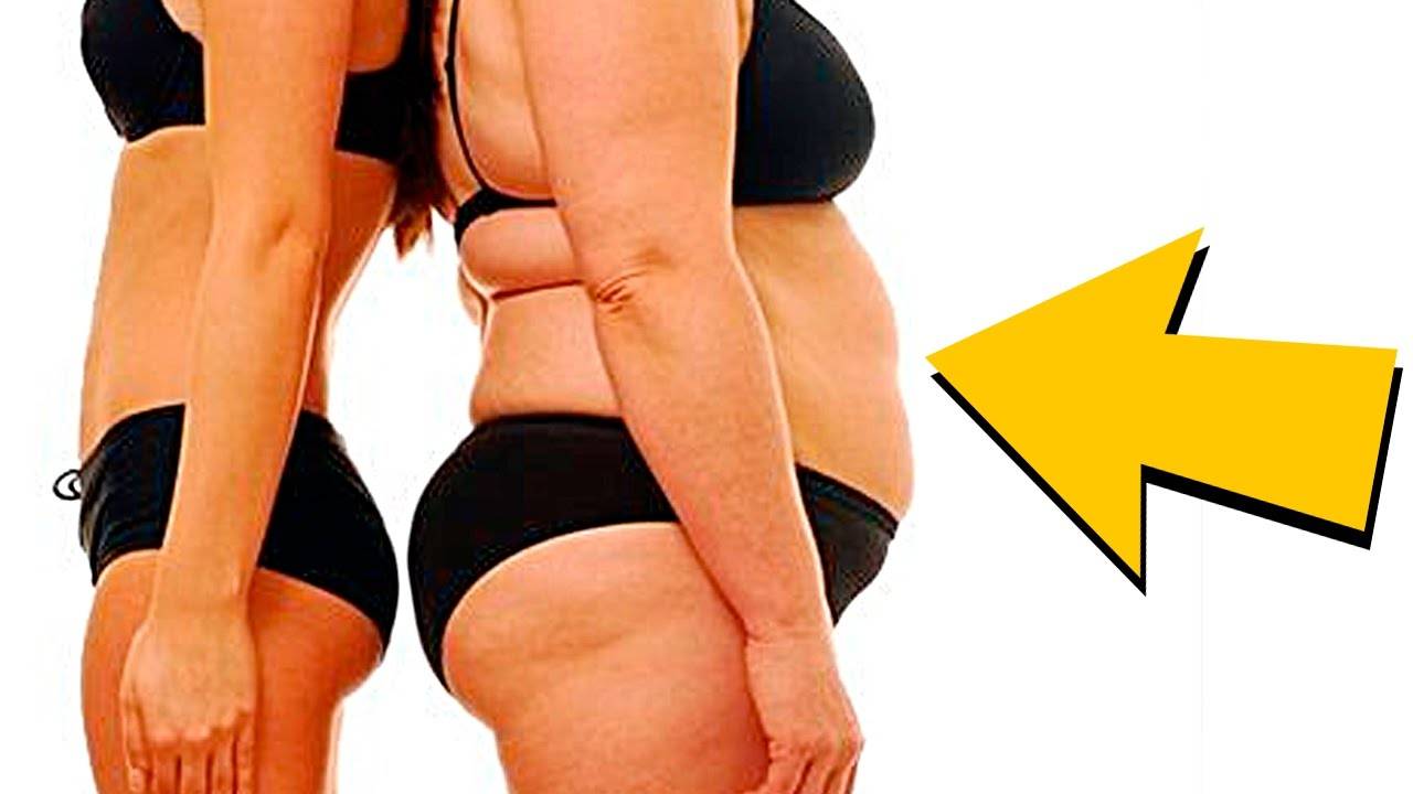 Жир в организме: как откладывается, сжигается и выводится при похудении