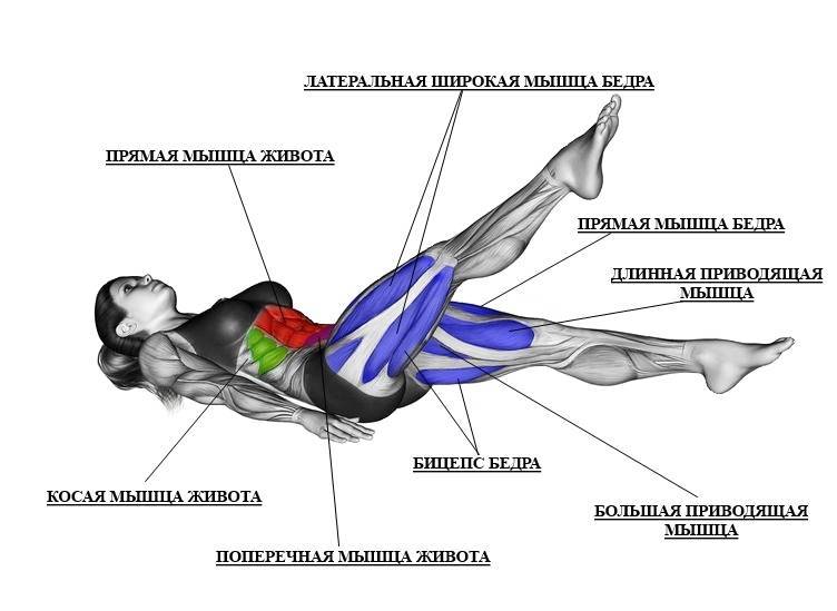 Упражнение «ласточка» — на баланс и укрепление мышц спины и ног - полонсил.ру - социальная сеть здоровья